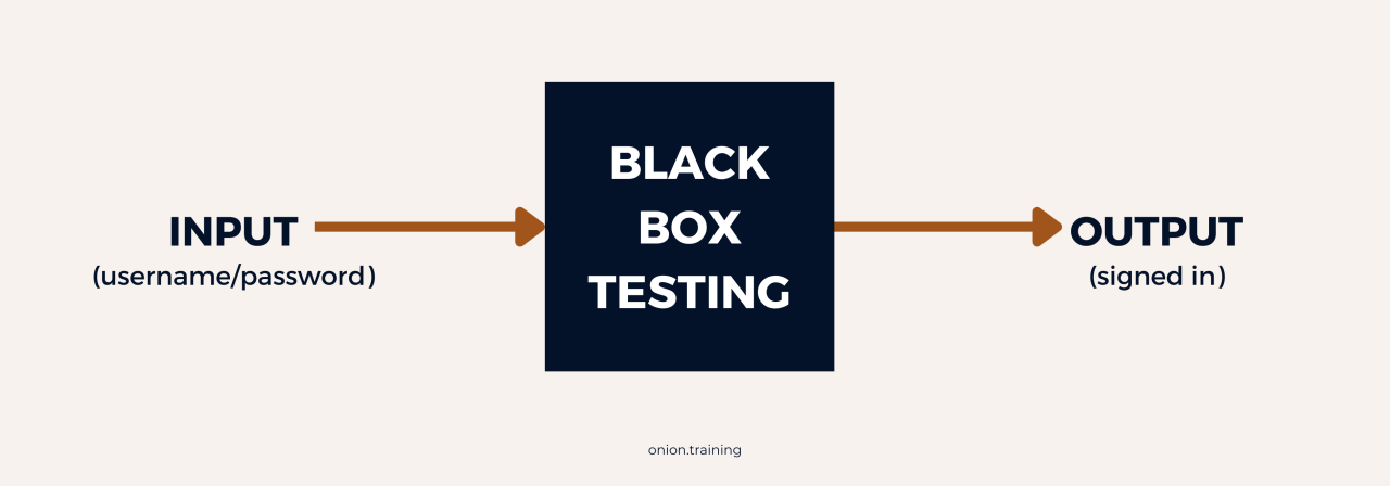 What Is Black Box Testing?