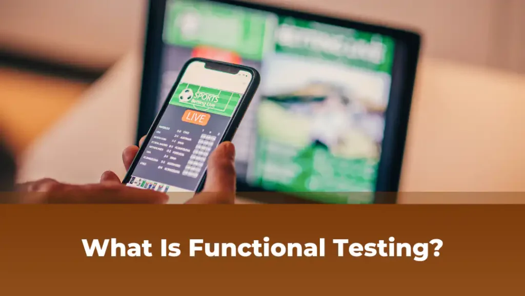 What is functional testing